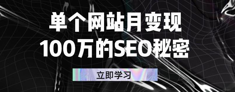 单个网站月变现100万的SEO秘密，百分百做出赚钱站点-源创智汇网