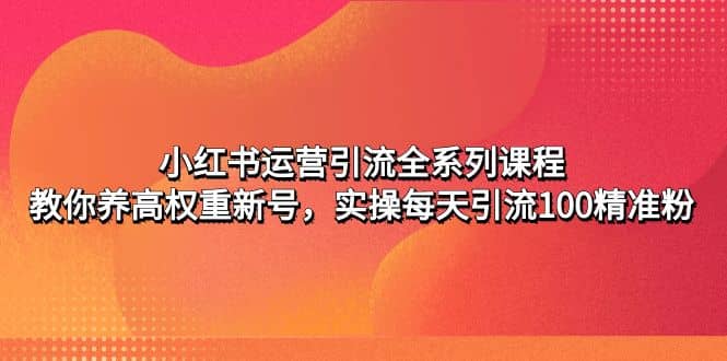 小红书运营引流全系列课程：教你养高权重新号-源创智汇网