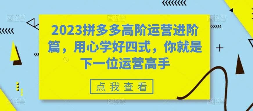 2023拼多多高阶运营进阶篇，用心学好四式，你就是下一位运营高手-源创智汇网