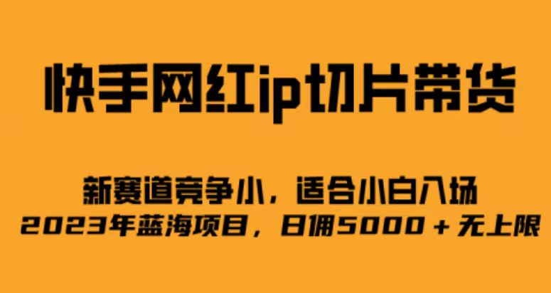 快手网红ip切片新赛道，竞争小事，适合小白 2023蓝海项目-源创智汇网