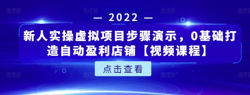 新人实操虚拟项目步骤演示，0基础打造自动盈利店铺【视频课程】-源创智汇网