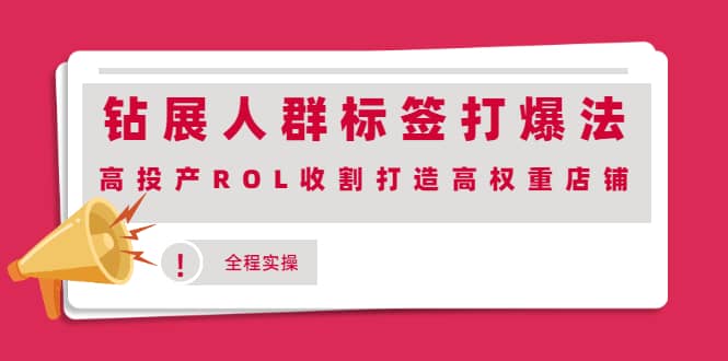 钻展人群标签打爆法，高投产ROL收割打造高权重店铺(全程实操)-源创智汇网