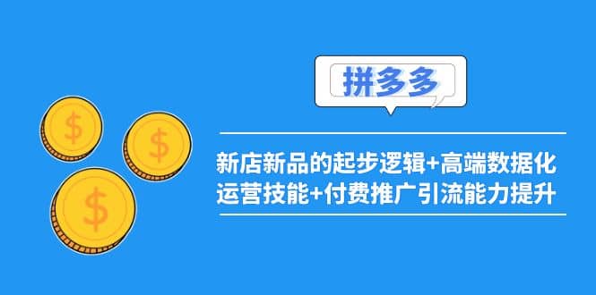 2022拼多多：新店新品的起步逻辑+高端数据化运营技能+付费推广引流能力提升-源创智汇网