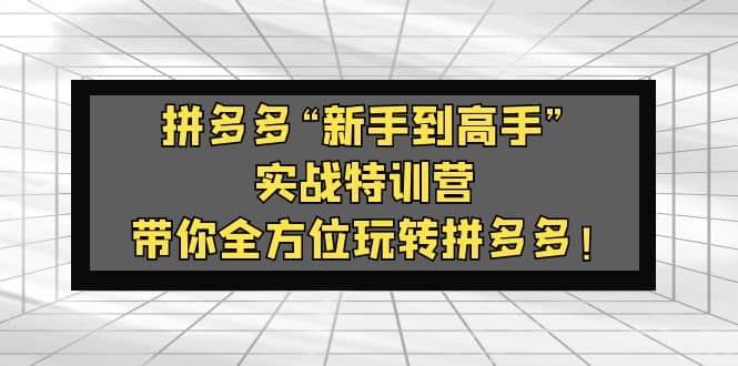 拼多多“新手到高手”实战特训营：带你全方位玩转拼多多-源创智汇网