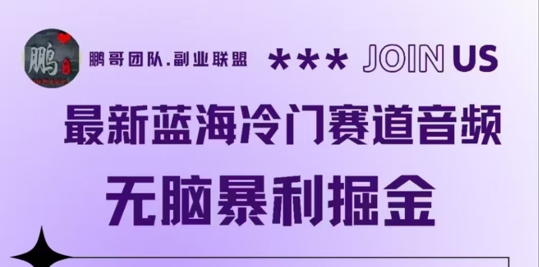 最新蓝海冷门赛道音频，无脑暴利掘金-源创智汇网