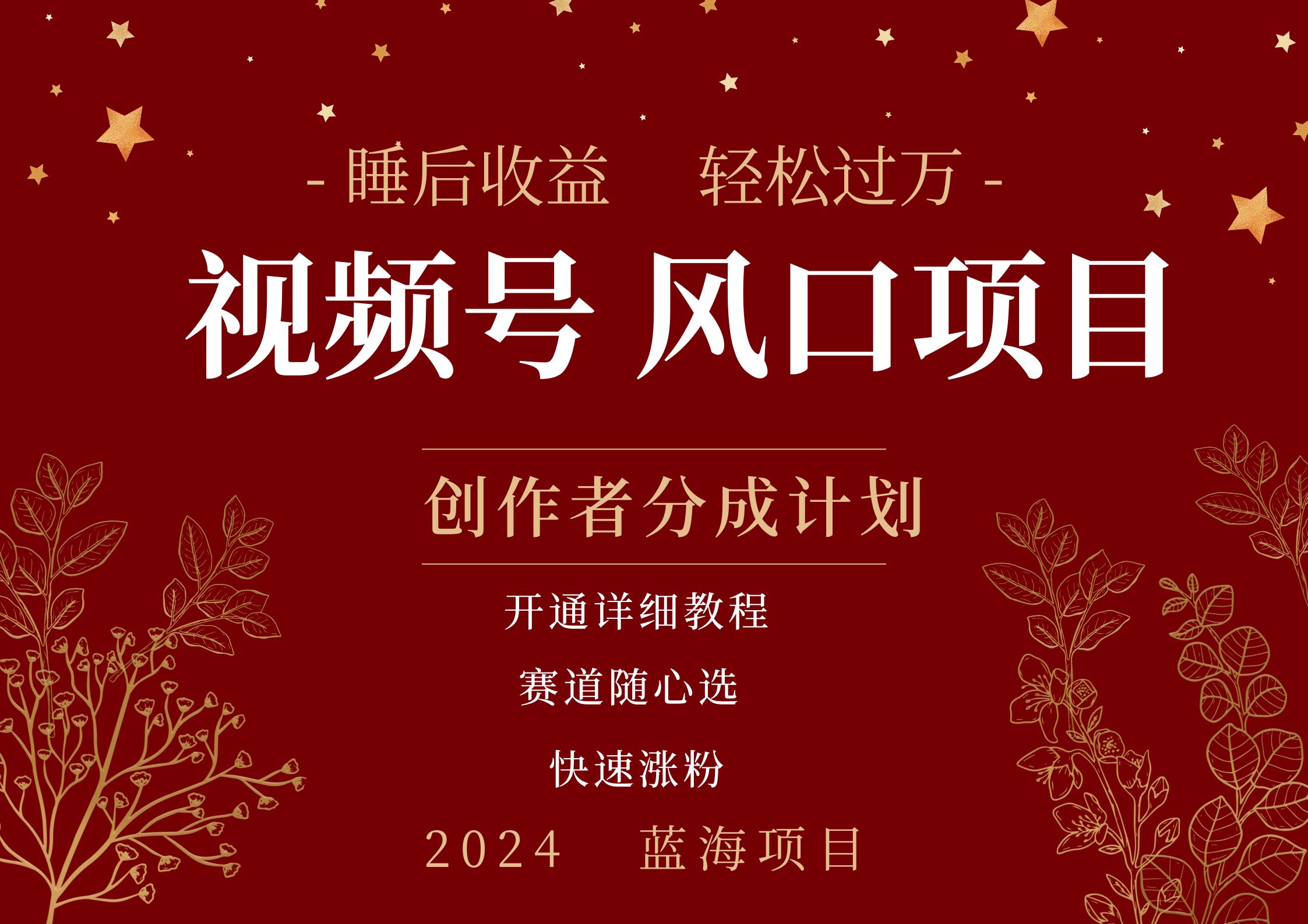 拥有睡眠收益的微信视频号大风口项目，轻松月入过万+，多赛道选择，可矩阵，玩法简单轻松上手-源创智汇网