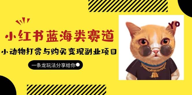 小红书蓝海类赛道：小动物打赏与购买变现副业项目，一条龙玩法分享给你-源创智汇网