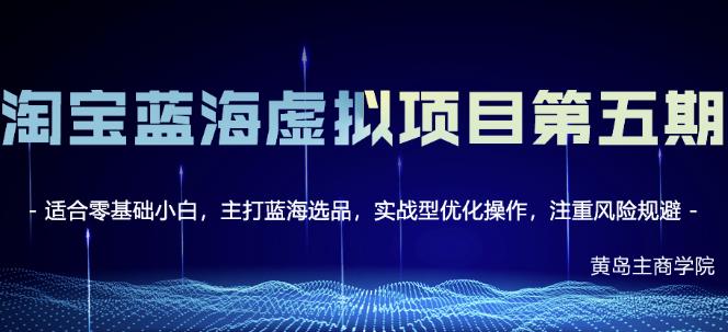 淘宝虚拟无货源3.0+4.0+5.0，适合零基础小白，主打蓝海选品，实战型优化操作-源创智汇网