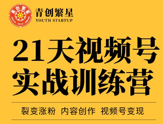 张萌21天视频号实战训练营，裂变涨粉、内容创作、视频号变现 价值298元-源创智汇网
