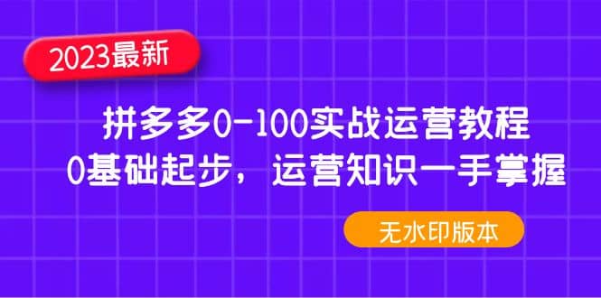 2023拼多多0-100实战运营教程，0基础起步，运营知识一手掌握（无水印）-源创智汇网