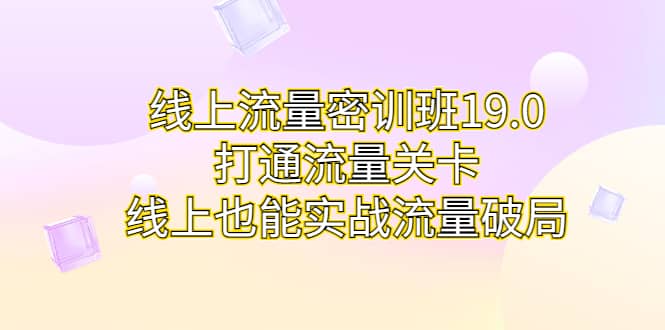 线上流量密训班19.0，打通流量关卡，线上也能实战流量破局-源创智汇网