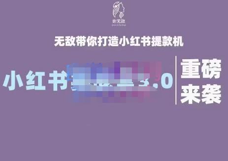 谢无敌·小红书实战营3.0，无敌带你打造小红书提款机 价值7999元-源创智汇网