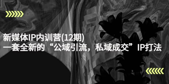 新媒体IP内训营(12期)，一套全新的“公域引流，私域成交”IP打法，直接带走-源创智汇网