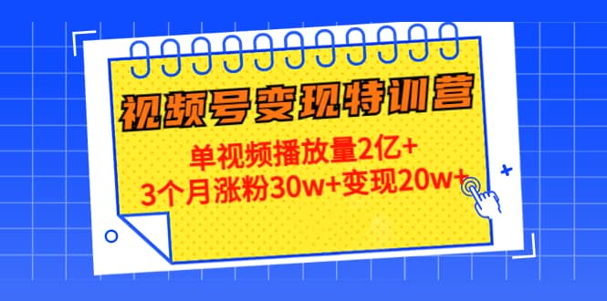 20天视频号变现特训营：单视频播放量2亿+-源创智汇网