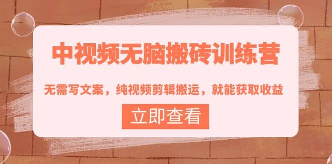 中视频无脑搬砖训练营：无需写文案，纯视频剪辑搬运，就能获取收益-源创智汇网