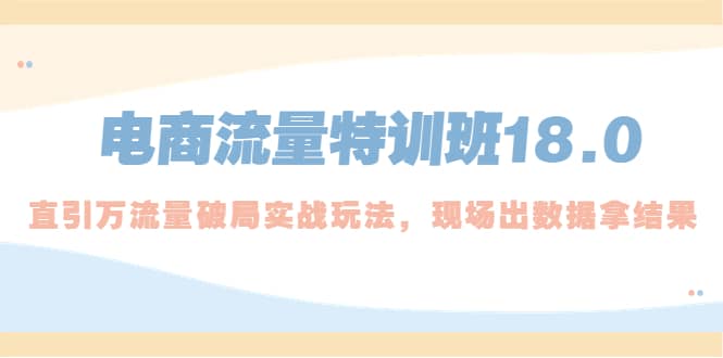 电商流量特训班18.0，直引万流量破局实操玩法，现场出数据拿结果-源创智汇网
