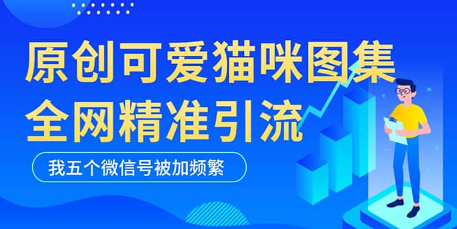 黑科技纯原创可爱猫咪图片，全网精准引流，实操5个VX号被加频繁-源创智汇网