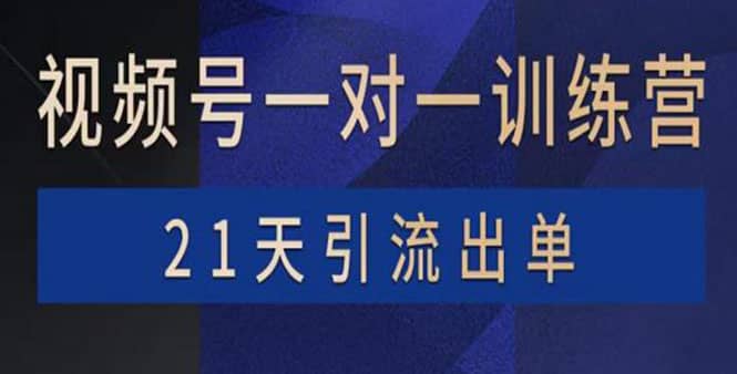 视频号训练营：带货，涨粉，直播，游戏，四大变现新方向，21天引流出单-源创智汇网