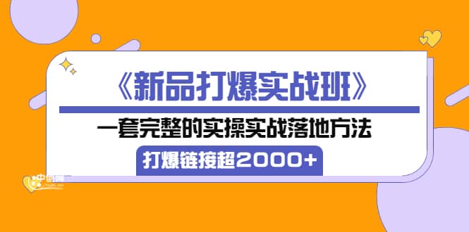 《新品打爆实战班》一套完整的实操实战落地方法，打爆链接超2000+（38节课)-源创智汇网