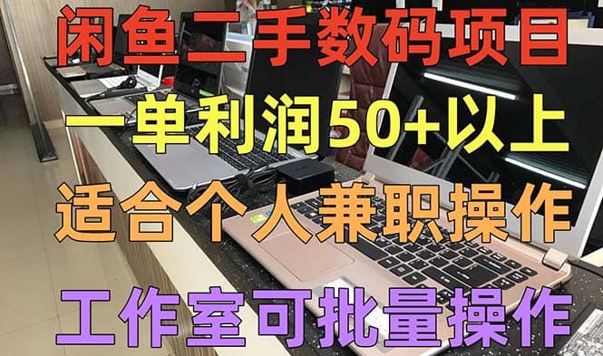 闲鱼二手数码项目，个人副业低保收入，工作室批量放大操作-源创智汇网