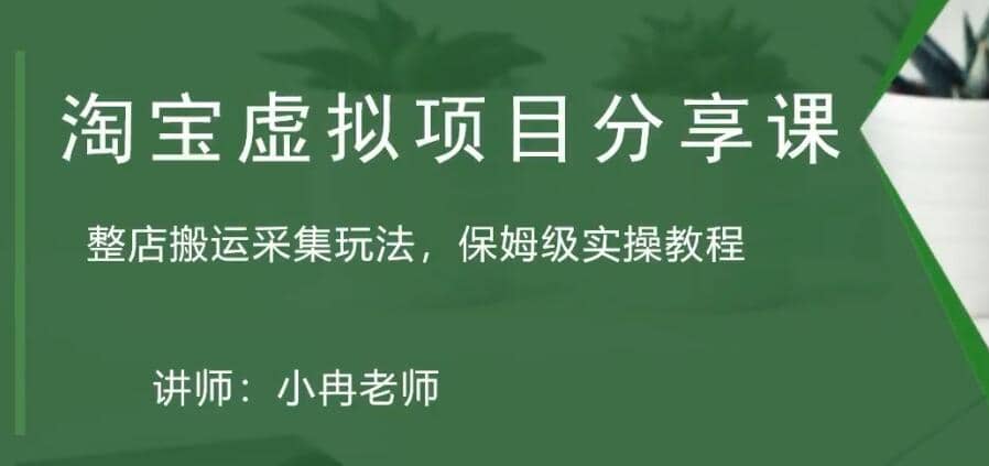 淘宝虚拟整店搬运采集玩法分享课：整店搬运采集玩法，保姆级实操教程-源创智汇网