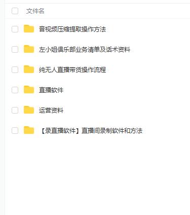 左小姐-直播带货俱乐部十三行、无人直播，全套教程附：工具、文档、话术资料-源创智汇网