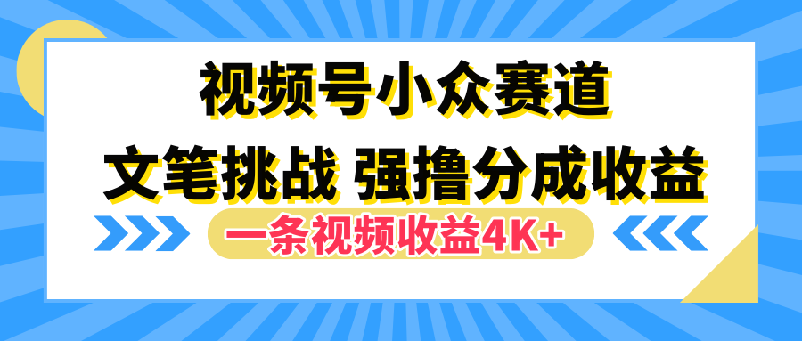 视频号小众赛道，文笔挑战，一条视频收益4K+-源创智汇网
