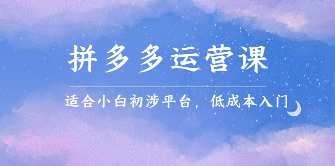 拼多多运营课，适合小白初涉平台，低成本入门-源创智汇网