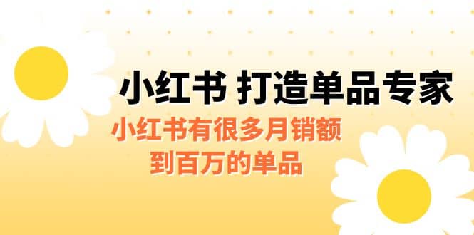 某公众号付费文章《小红书 打造单品专家》小红书有很多月销额到百万的单品-源创智汇网
