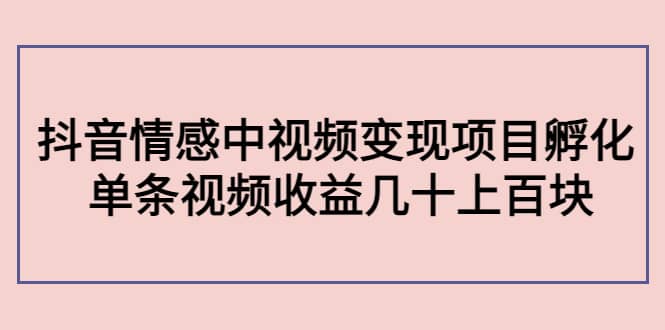 抖音情感中视频变现项目孵化-源创智汇网