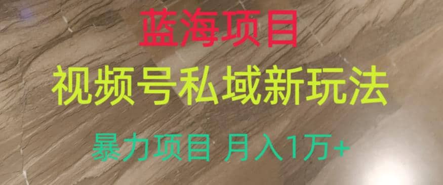 蓝海项目，视频号私域新玩法，暴力项目月入1万+【揭秘】-源创智汇网