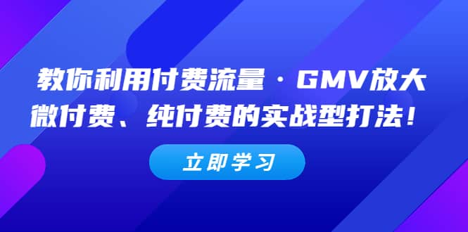 教你利用付费流量·GMV放大，微付费、纯付费的实战型打法-源创智汇网
