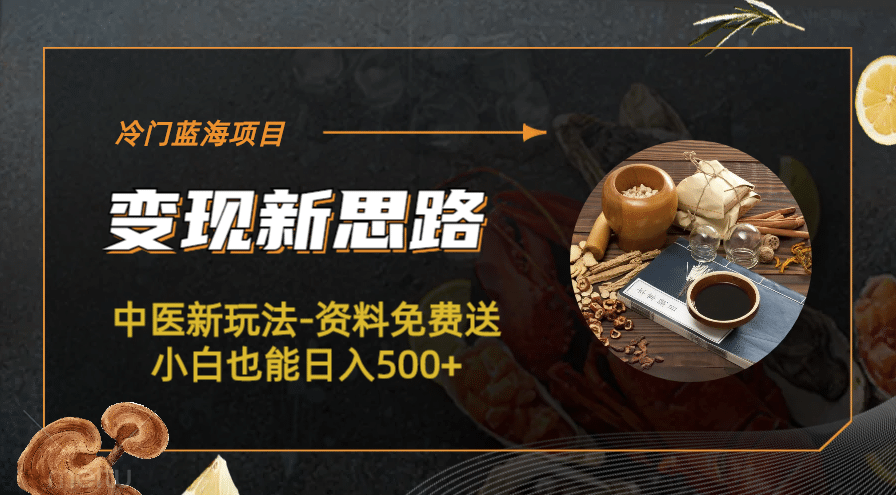 冷门蓝海项目-中医新玩法-冷门蓝海项目-中医新玩法-资料免费送小白也能日入500+500+-源创智汇网
