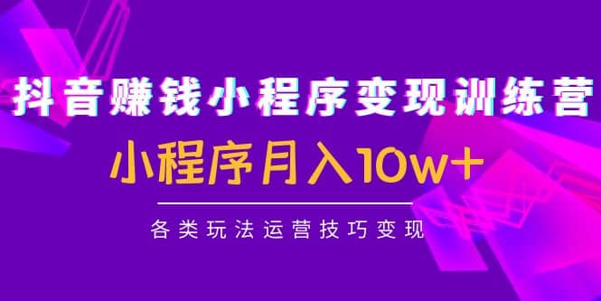 抖音小程序变现训练营：小程序各类玩法运营技巧变现-源创智汇网
