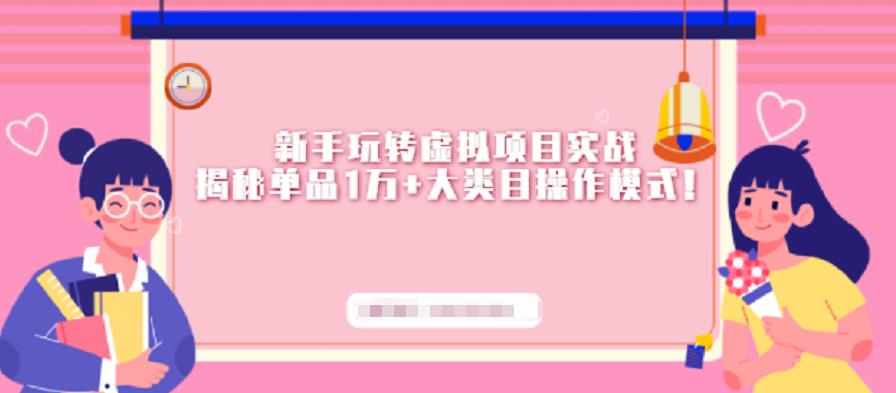 新手玩转虚拟项目实战，揭秘单品1万+大类目操作模式【视频课程】-源创智汇网