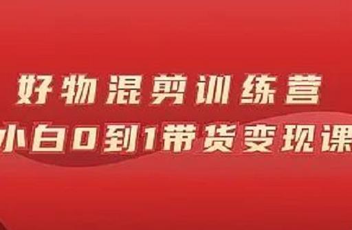 万三好物混剪训练营：小白0到1带货变现课-源创智汇网