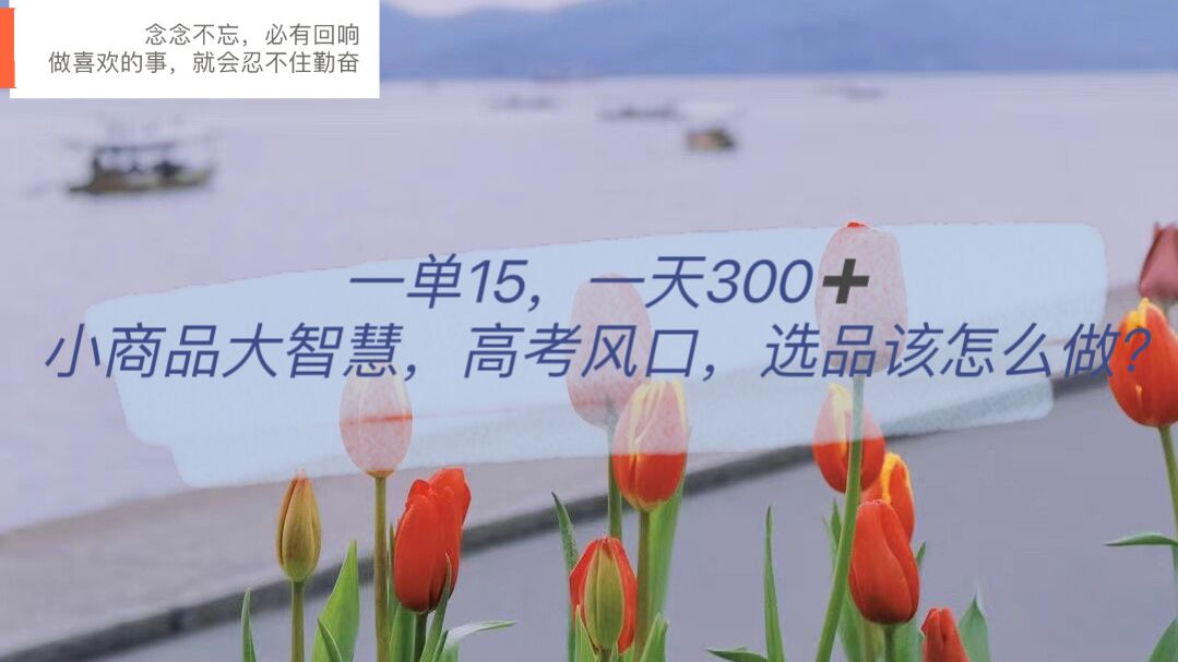 一单15，一天300+，小商品大智慧，高考风口，选品该怎么布局-源创智汇网
