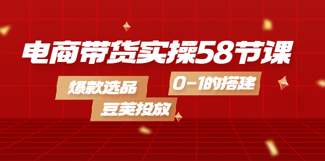 电商带货实操58节课，爆款选品，豆荚投放，0-1的搭建-源创智汇网