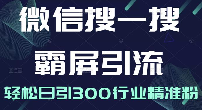 微信搜一搜霸屏引流课，打造被动精准引流系统，轻松日引300行业精准粉【无水印】-源创智汇网