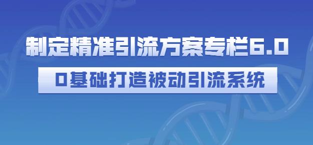 制定精准引流方案专栏6.0，0基础打造被动引流系统-源创智汇网