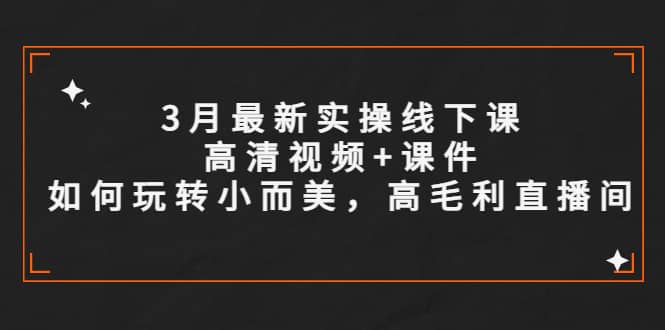 3月最新实操线下课高清视频+课件，如何玩转小而美，高毛利直播间-源创智汇网
