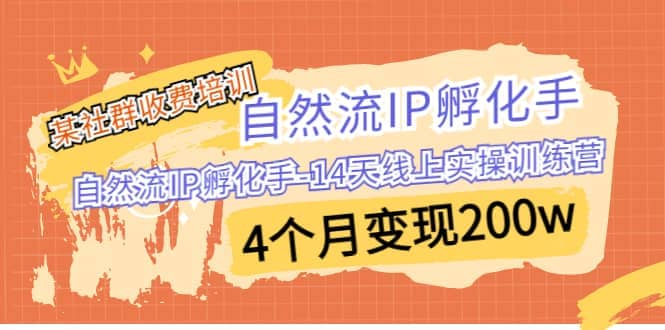 某社群收费培训：自然流IP 孵化手-14天线上实操训练营 4个月变现200w-源创智汇网