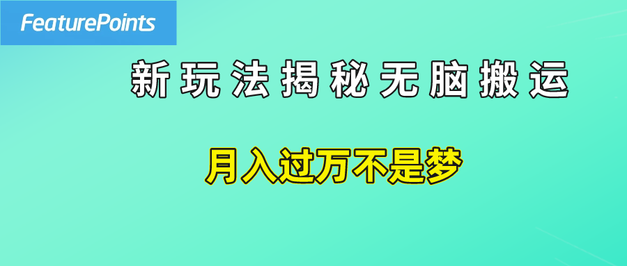 简单操作，每天50美元收入，搬运就是赚钱的秘诀！-源创智汇网