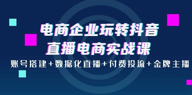 电商企业玩转抖音直播电商实战课：账号搭建+数据化直播+付费投流+金牌主播-源创智汇网