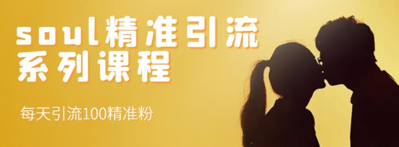 soul精准引流系列课程，每天引流100精准粉-源创智汇网