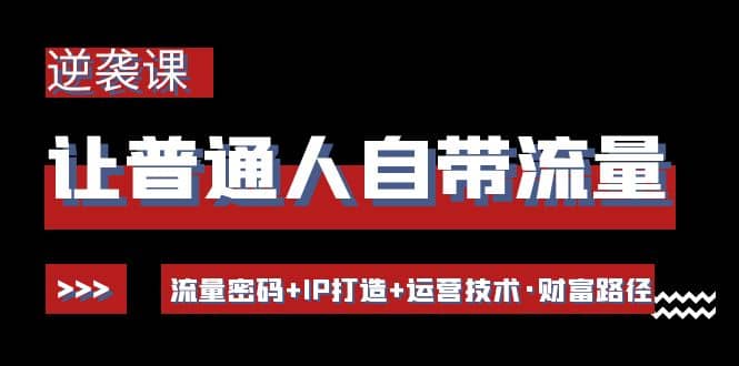 让普通人自带流量的逆袭课：流量密码+IP打造+运营技术·财富路径-源创智汇网