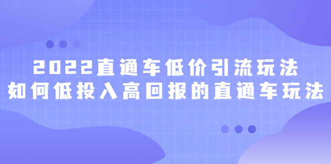 2022直通车低价引流玩法，教大家如何低投入高回报的直通车玩法-源创智汇网