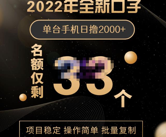 2022年全新口子，手机批量搬砖玩法，一部手机日撸2000+-源创智汇网