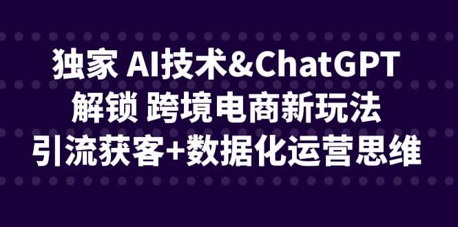 独家 AI技术ChatGPT解锁 跨境电商新玩法，引流获客+数据化运营思维-源创智汇网