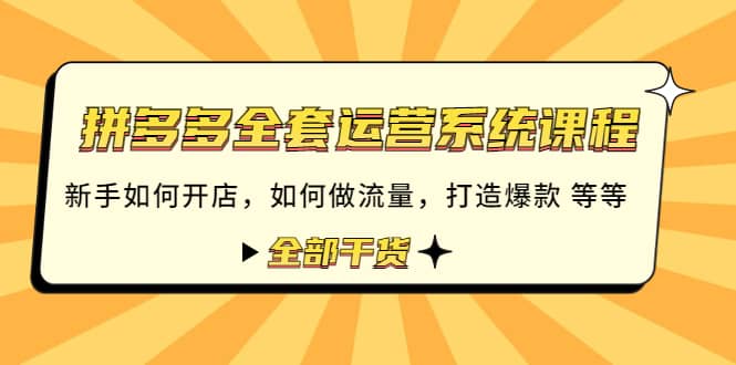 拼多多全套运营系统课程：新手如何开店 如何做流量 打造爆款 等等 全部干货-源创智汇网